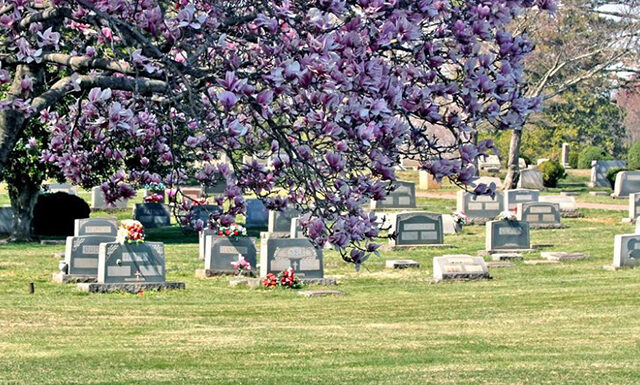 Muslim-Cemetery-Death-Care-Industry